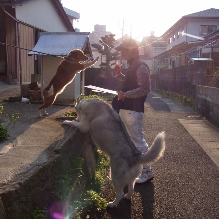 強風お見舞い by CX5 & GRD3_c0049299_20264776.jpg