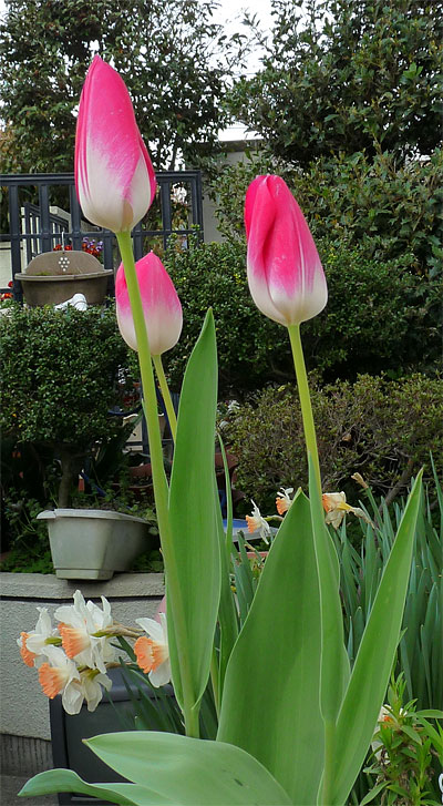 b0219900_07867.jpg