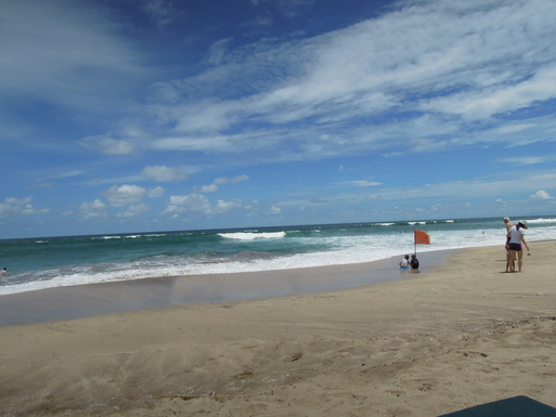 f0203400_2233092.jpg