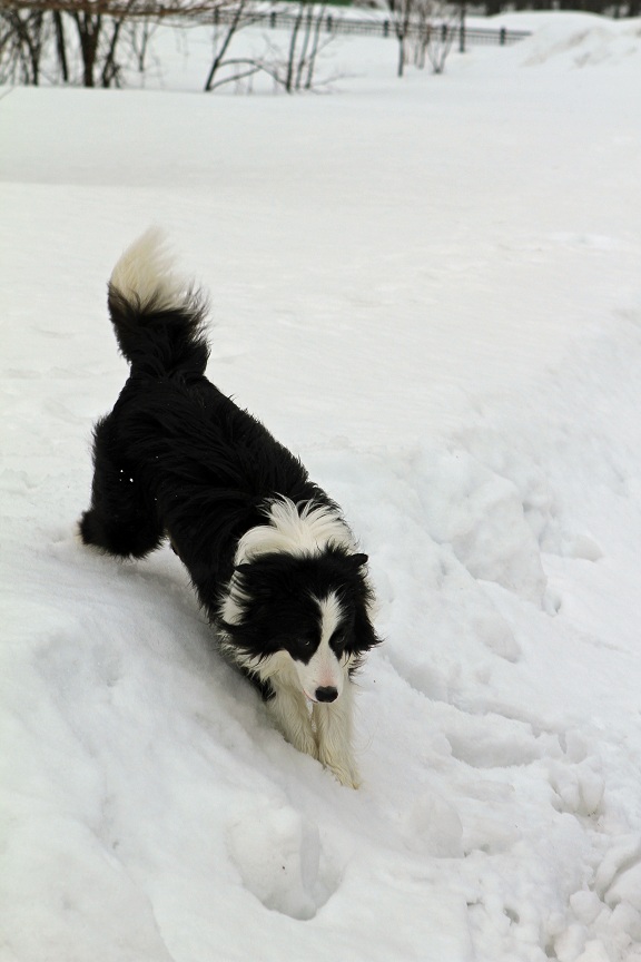 春の雪出張　その①_f0034602_20434663.jpg