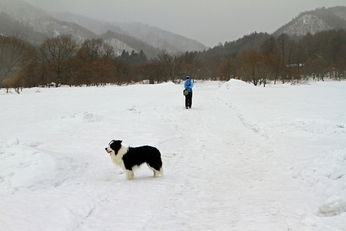 春の雪出張　その①_f0034602_20442569.jpg