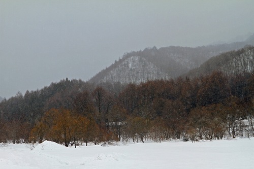 春の雪出張　その①_f0034602_2045080.jpg