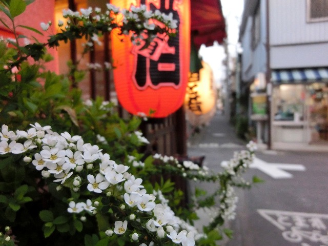 b0190603_2555299.jpg