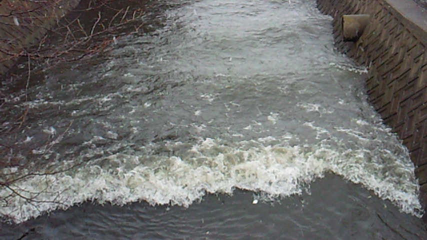 d0149105_126042.jpg