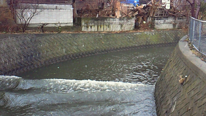 d0149105_126088.jpg