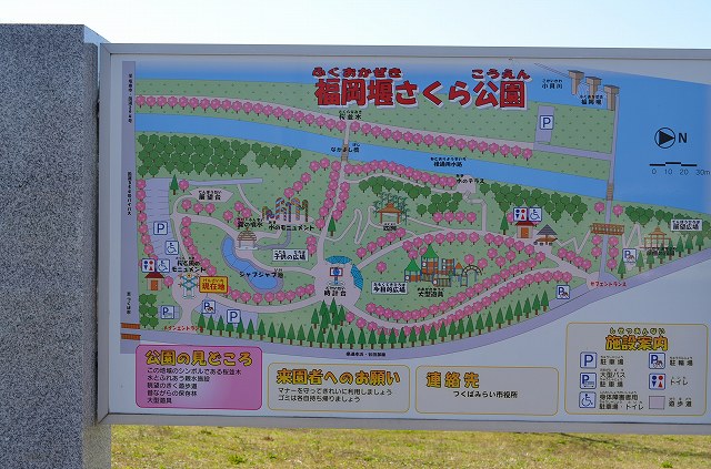 福岡堰さくら公園♪_a0227507_22425481.jpg