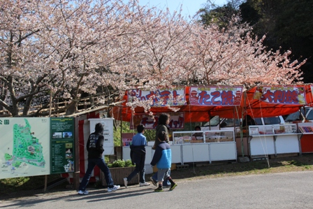 4月４日　　　内科の検診・ひじきの煮物_c0067508_21271567.jpg