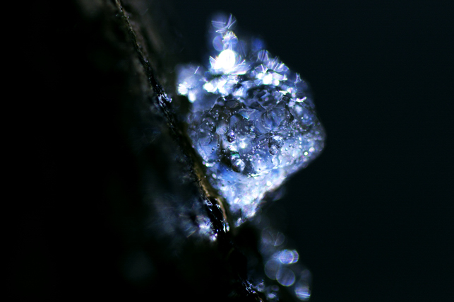 d0211108_4331572.jpg