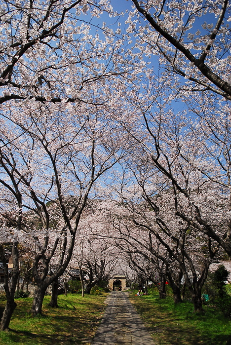 武雄市の景気は底打ちか。_d0047811_2256728.jpg