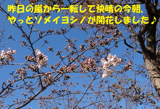 f0121712_14334887.jpg