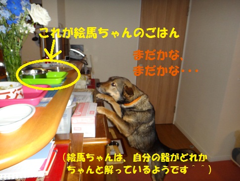 f0121712_14565126.jpg