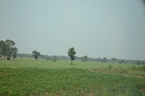 a0036513_713753.jpg