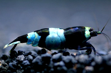e0254814_03227.jpg