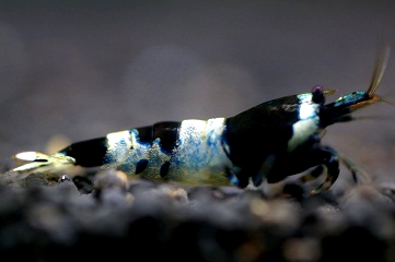 e0254814_04504.jpg