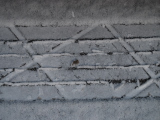 b0115215_172444.jpg