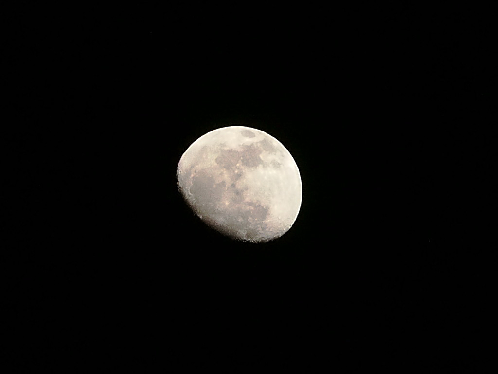 d0192516_8495836.jpg