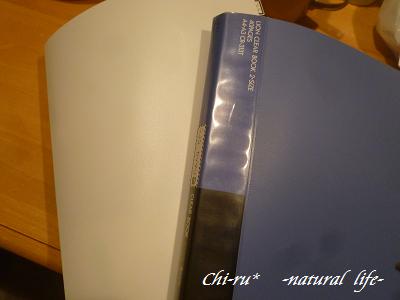 d0179417_905120.jpg