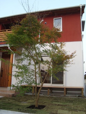 e0273217_1632750.jpg