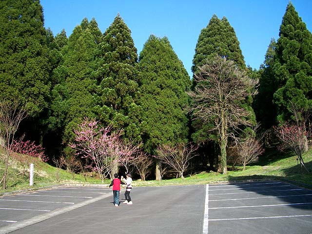 b0146418_23254594.jpg