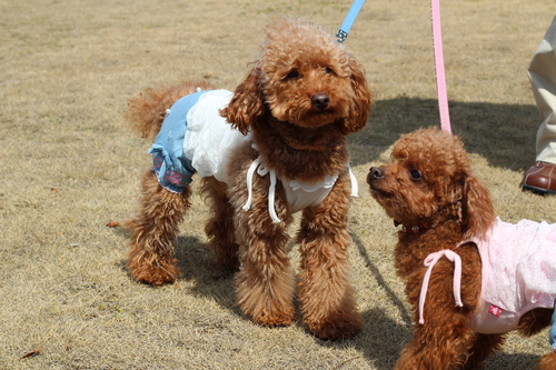 岡山オフ会④。_b0197418_19203945.jpg