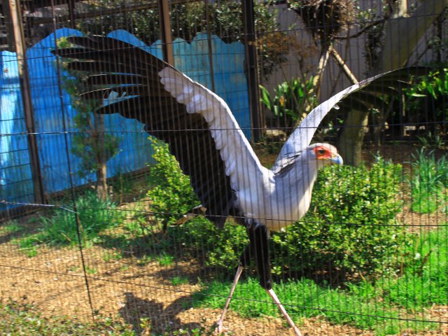 上野動物園で・・・_d0113821_8252842.jpg