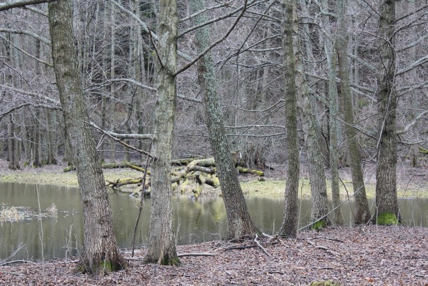 e0250023_430501.jpg