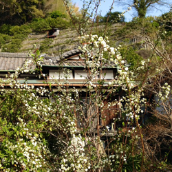 f0060424_21434475.jpg