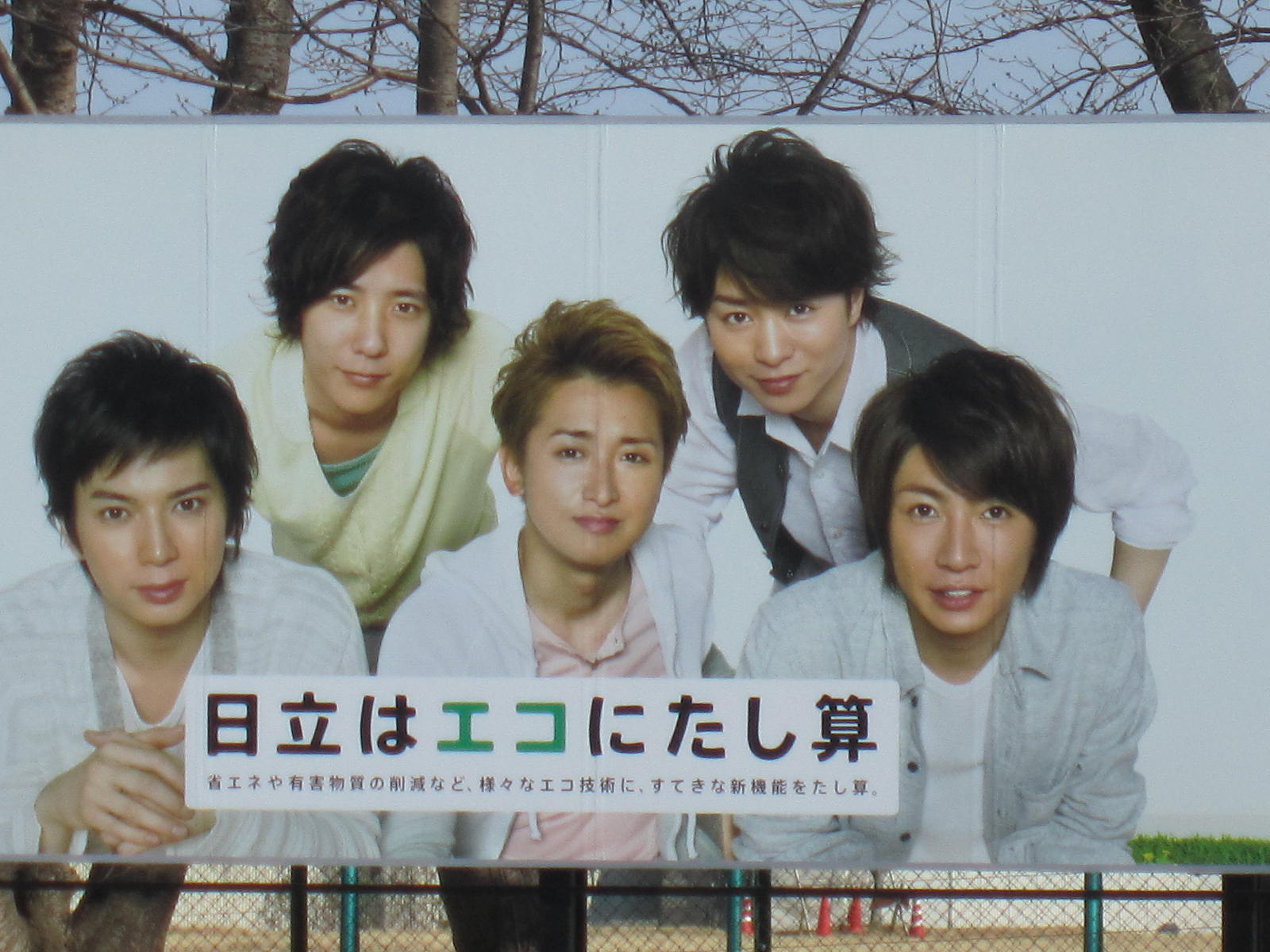 嵐 Forest 便り