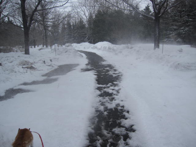 e0191826_23484517.jpg