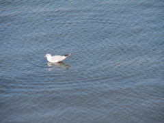 c0097838_14421440.jpg