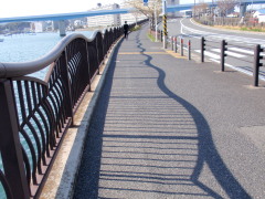 c0097838_1442412.jpg