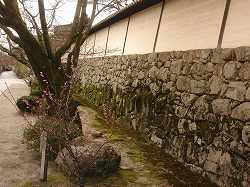 d0138650_22421895.jpg