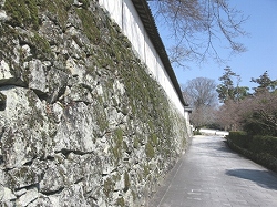 d0138650_22424414.jpg