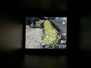 d0100156_114656.jpg