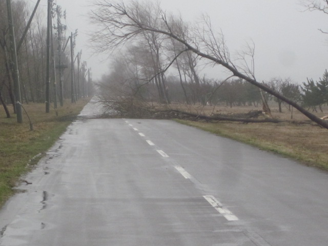 c0196062_11593518.jpg