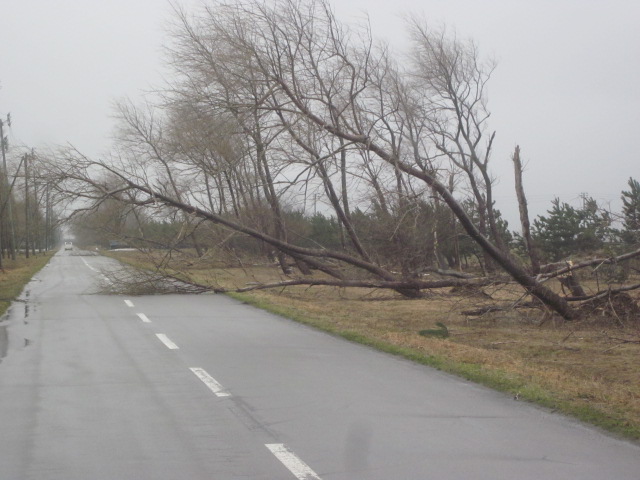 c0196062_1204927.jpg