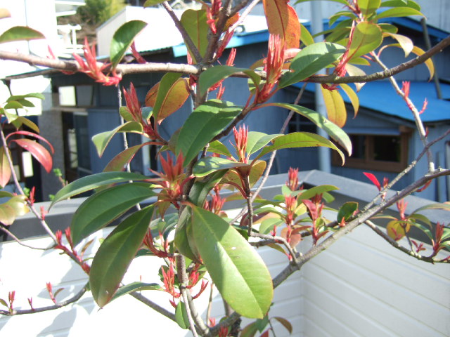 c0229062_18431189.jpg