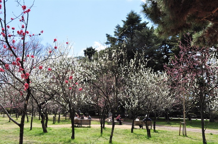 e0125762_415054.jpg
