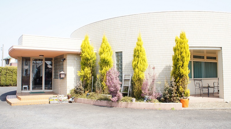 d0162864_1553212.jpg