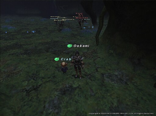 FFXI：花鳥風月 St3 「ノスフェラトゥ」_f0064066_1126949.jpg