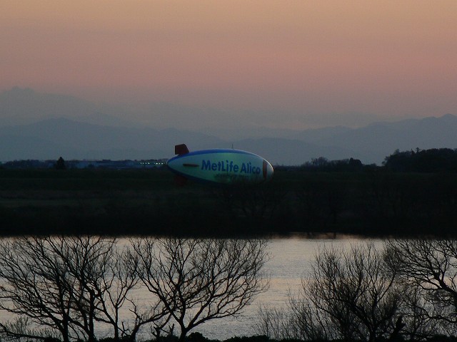 関東に戻ってきた飛行船_d0010073_2310679.jpg