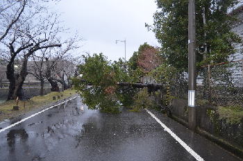 発達した低気圧で強風吹き荒れる_f0168873_23495888.jpg