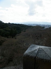 「そうだ 京都、行ぐんべ。」_b0004675_1520256.jpg