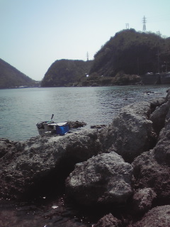 a0253077_5595580.jpg
