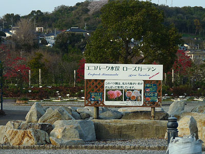 c0152779_20421231.jpg