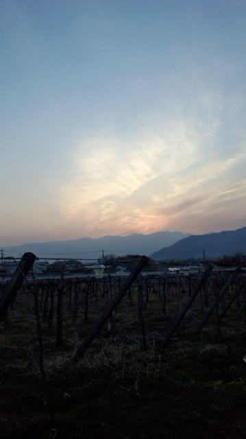 美意識_a0219480_116468.jpg