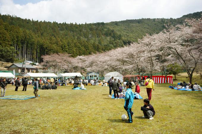 熊野の旅　桜と嵐_d0045383_1032655.jpg