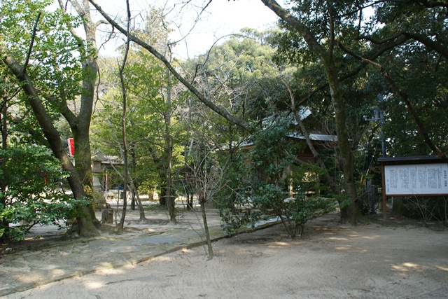 d0181492_1031532.jpg