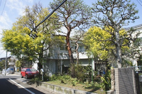 e0159192_19553998.jpg