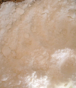 a0256995_8401554.jpg